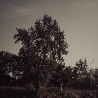 Человек у дерева :: Ярослав Теплов