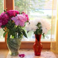 Июнь. :: Венера Чуйкова