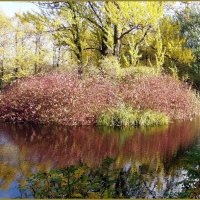 СПБ...Парк Победы... :: vadim 