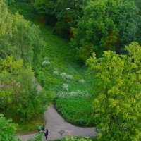 Буйная зелень... :: Юрий Куликов