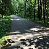 Парковая дорожка!) :: Любовь Парковая дорожка!) :: Любовь