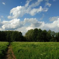 Июнь как он есть :: Андрей Лукьянов