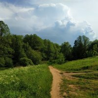 Июнь как он есть :: Андрей Лукьянов