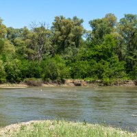 Река Кубань :: Игорь Сикорский