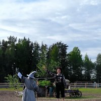 Властелин колец. :: Ольга 