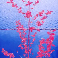 Назва. отсу. :: Денис Безногов