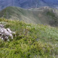 Долгие Горы :: Галина Ильясова Долгие Горы :: Галина Ильясова