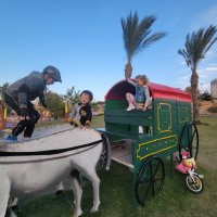 А я на лошади,....., да ! :: Светлана Хращевская