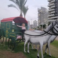 Эй, прокучусь ... :: Светлана Хращевская