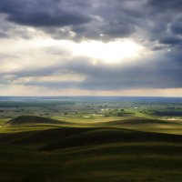 Зелёное море волнуется... :: Галина Ильясова
