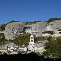 Природа Крыма :: Amazing Cosmea