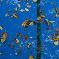 *** :: Валерий Михмель 