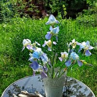 — Минуточку! :: veilins veilins — Минуточку! :: veilins veilins