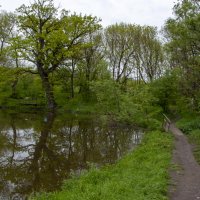 Здесь когда-то находилась дача Ртищева :: Gen 