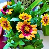 ЦИННИЯ   ИЗЯЩНАЯ :: Анатолий Малобродский