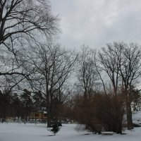 Остров Сеурасаари :: Alexandra Sakharova