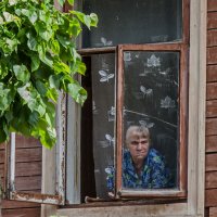 Жизнь за окном :: Наталья Rosenwasser