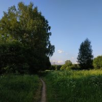 Июнь продолжается :: Андрей Лукьянов
