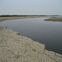 Сушь :: Anna Ivanova