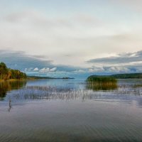 вечерок..... :: Ольга Cоломатина