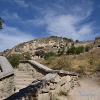 Природа Крыма :: Amazing Cosmea