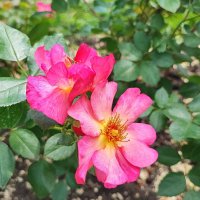 ,,, :: Сергей Тимоновский