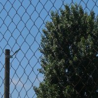 . :: Александр Хоменко