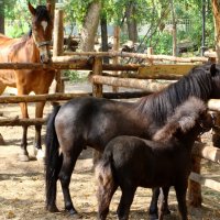 H :: Андрей Л. В.