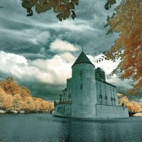 Рассекая воду... :: Николай Гирш