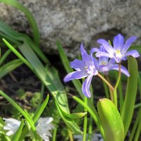 Эксперимент 12 :: Andy 