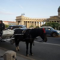 кучера :: zavitok *