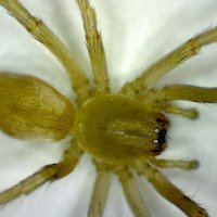 AR :: Андрей Л. В.