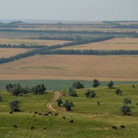 Бескрайняя, необъятная, ширь полей... :: Надежда Куркина 