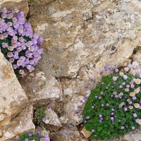 ПО ГОРАМ. :: Виктор Осипчук ПО ГОРАМ. :: Виктор Осипчук