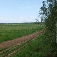 По проселочной дороге, вдаль от шумных городов, сами нас уносят ноги в царство поля и цветов. :: Люба 