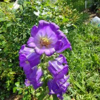 ,,, :: Сергей Тимоновский