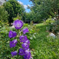 ,,, :: Сергей Тимоновский ,,, :: Сергей Тимоновский