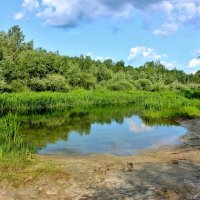 Родниковая речка Свинцовка впадающая в реку Хопёр. Воронежская область. :: Восковых Анна Васильевна 
