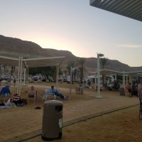 " :: Светлана Хращевская