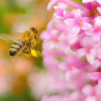 ... на работу... :: Георгий Никонов