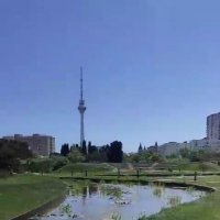 Ботанический сад :: Ирэн 