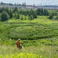 травы-травы :: Ольга Конькова