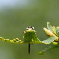 Гость :: Андрей Зайцев Гость :: Андрей Зайцев
