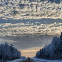 Дорога :: Михаил Свиденцов