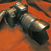 В лесных походах она первая! :: Владимир 