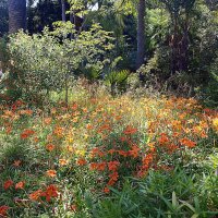 Барселона. :: Владимир Драгунский