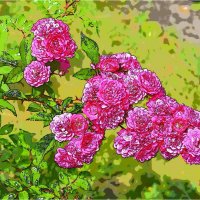 ЛЕТО :: Юрий Владимирович 34