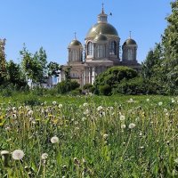 Июнь в городе. :: Ольга 