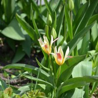 +++ :: Oleg4618 Шутченко