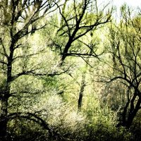 ПОЛОВОДЬЕ :: HART BAD